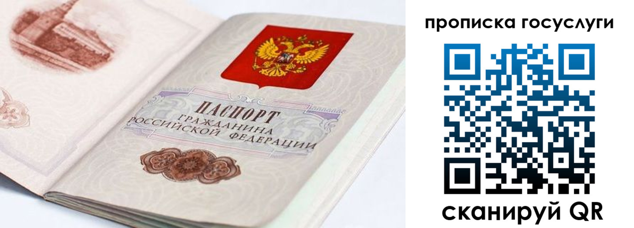 прописка регистрация в Заинске